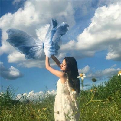 樱花记者 海报